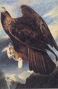 John James Audubon Golden Eagle china oil painting reproduction